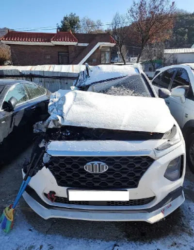 2019 Hyundai Santa FE KMHS281BBKU181514 VIN:KMHS281BBKU181514