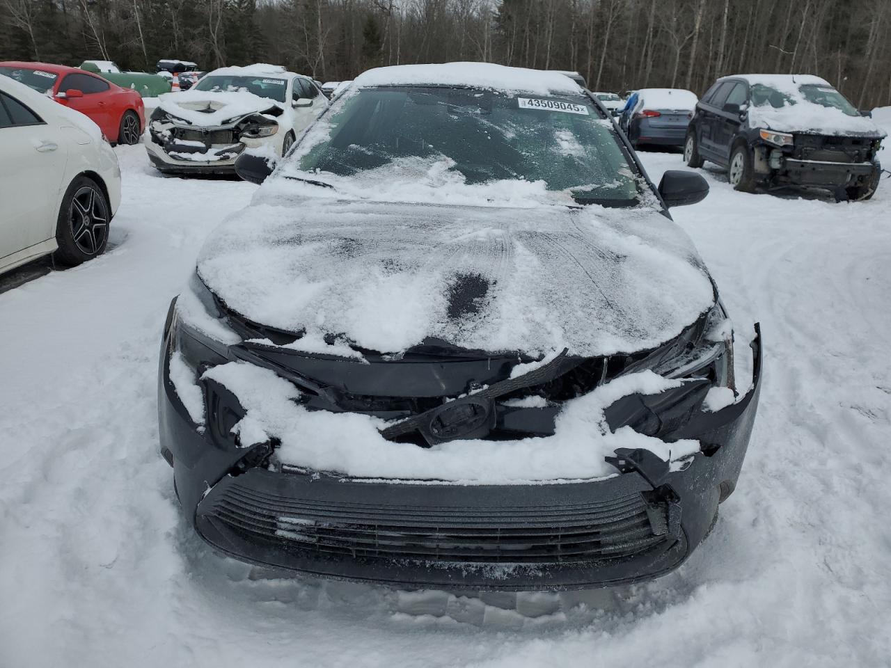 2024 TOYOTA COROLLA LE VIN:JTDBCMFEXR3036994