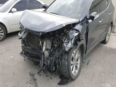 2015 Hyundai Santa FE KMHSW81XDFU418422 VIN:KMHSW81XDFU418422