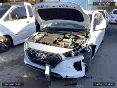 2019 Hyundai Ioniq KMHC851CGLU173417 VIN:KMHC851CGLU173417