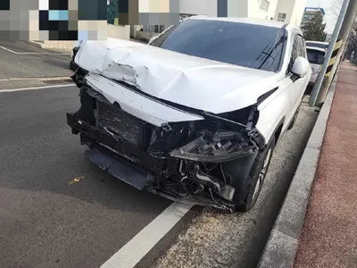 2018 Hyundai Santa FE KMHS281BBKU004778 VIN:KMHS281BBKU004778