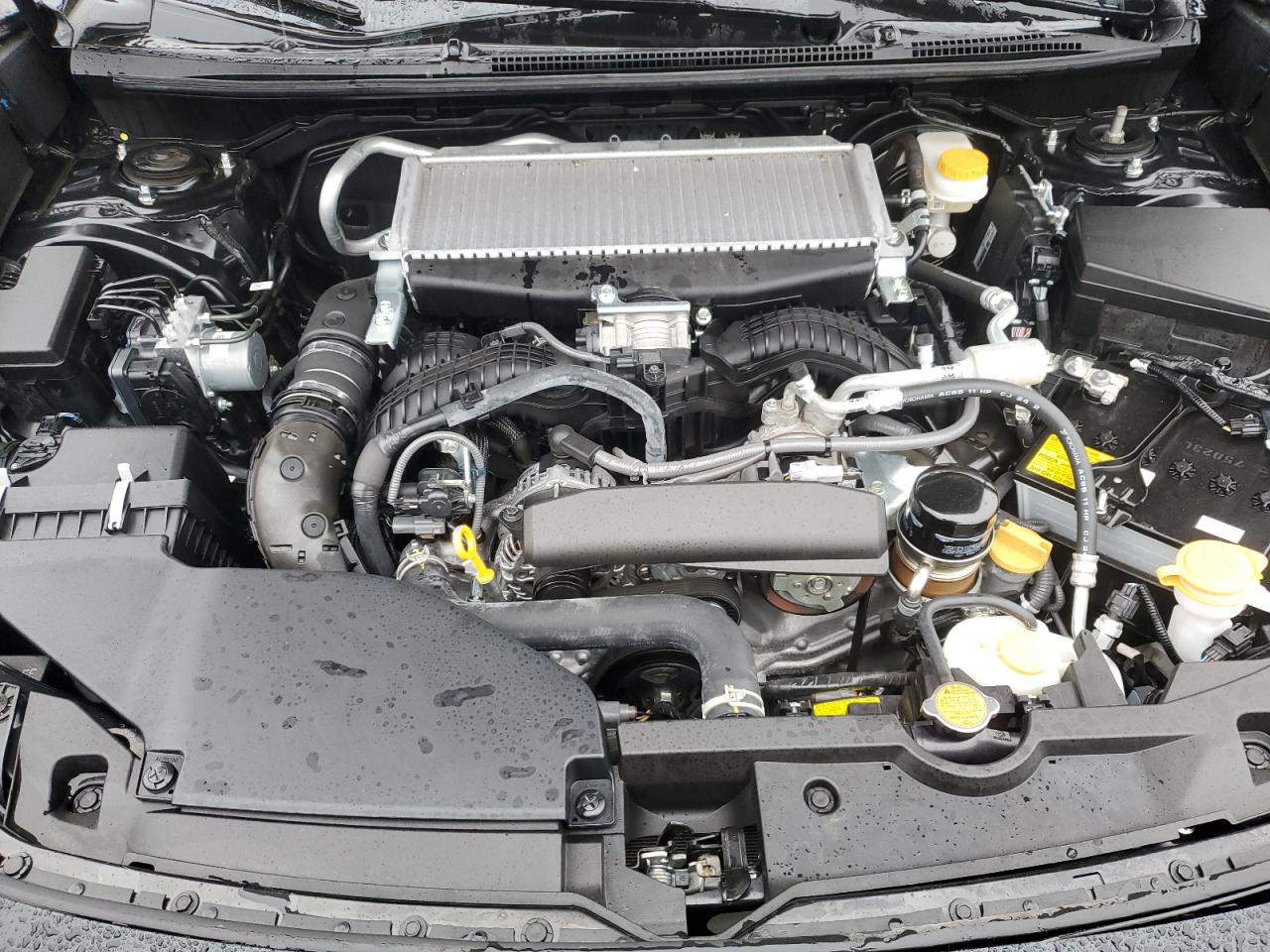 2023 SUBARU WRX PREMIUM VIN:JF1VBAF66P9823805