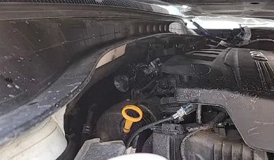2019 Kia Sorento 611KMKNAPG81ABKA4 VIN:611KMKNAPG81ABKA4