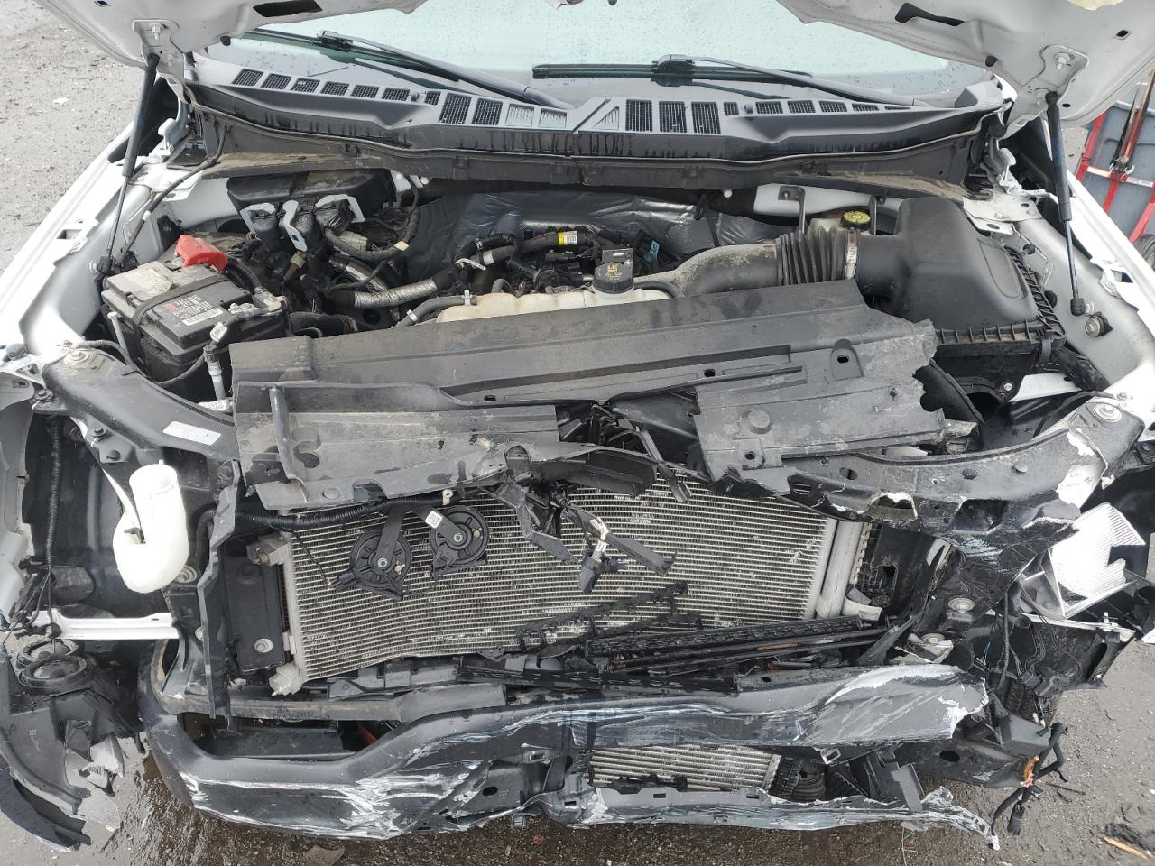 2023 FORD F150  VIN:1FTMF1CP4PKD63592