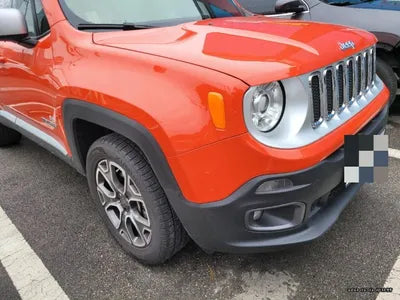 2017 Jeep Renegade 1C4BU0000HPF98739 VIN:1C4BU0000HPF98739