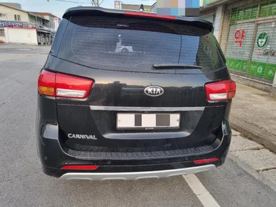 2018 Kia Carnival KNAMB81ABJS428843 VIN:KNAMB81ABJS428843