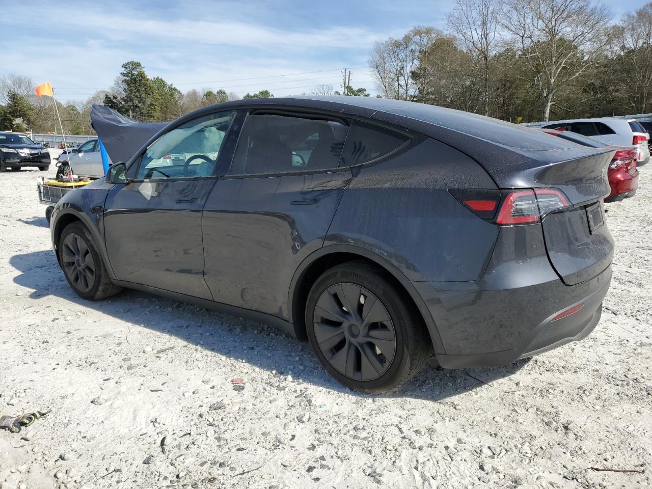 2024 TESLA MODEL Y  VIN:7SAYGDED8RF113441