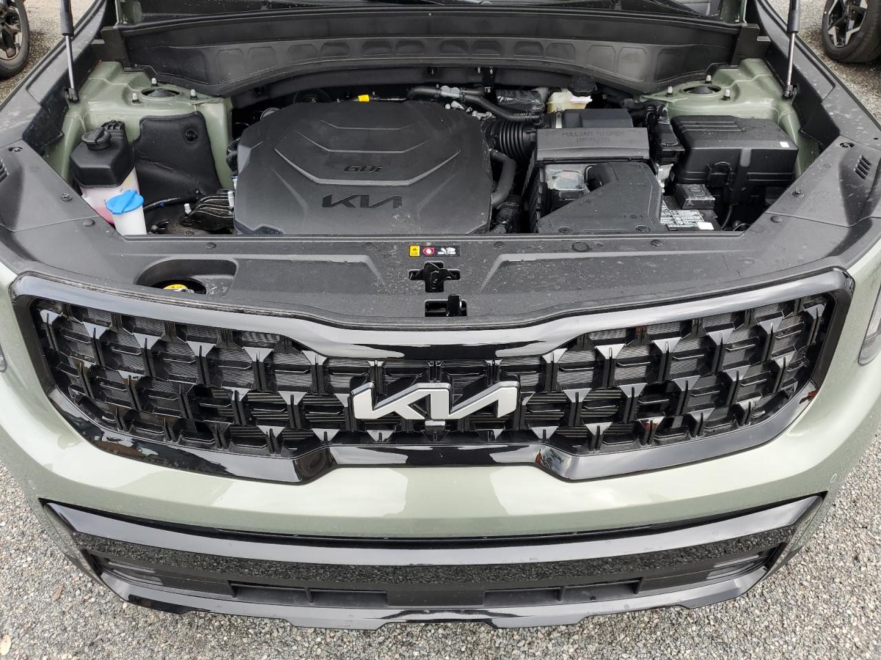 2024 KIA TELLURIDE SX VIN:5XYP5DGC2RG555644