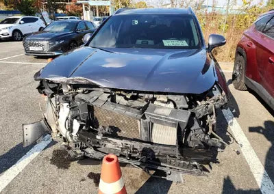 2020 Hyundai Santa FE KMHS281BBLU199802 VIN:KMHS281BBLU199802