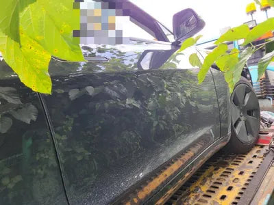 2022 Tesla Model 3 VIN: