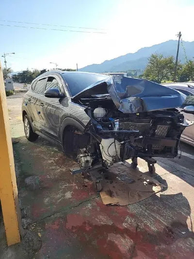 2019 Hyundai Tucson KMHJ3817GKU977172 VIN:KMHJ3817GKU977172