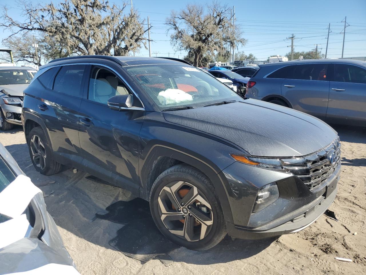 2024 HYUNDAI TUCSON LIMITED VIN:5NMJECDEXRH348995