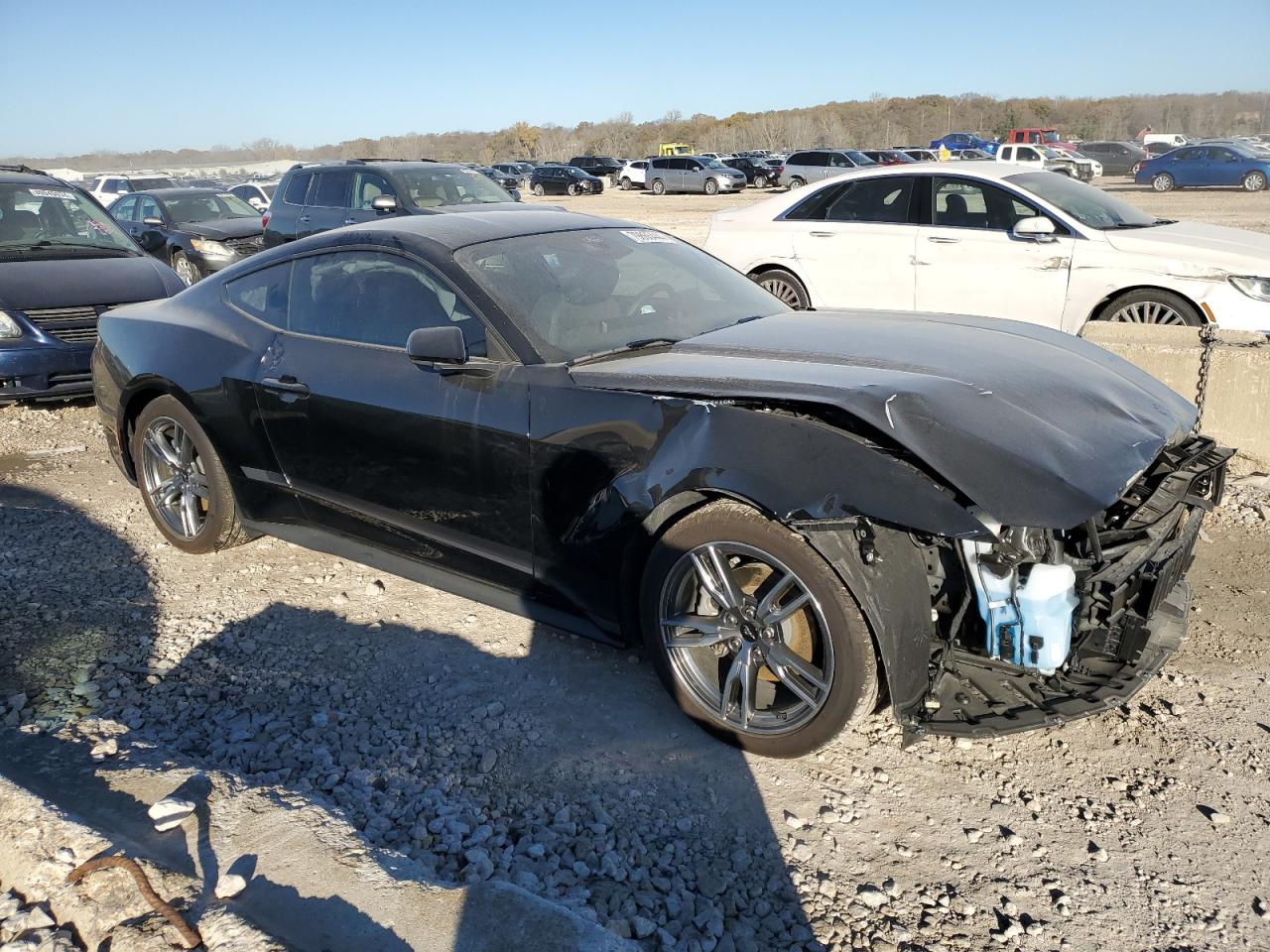 2024 FORD MUSTANG  VIN:1FA6P8TH3R5117194
