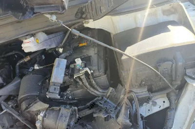 2021 Kia Carnival KNANB81BBMS037266 VIN:KNANB81BBMS037266