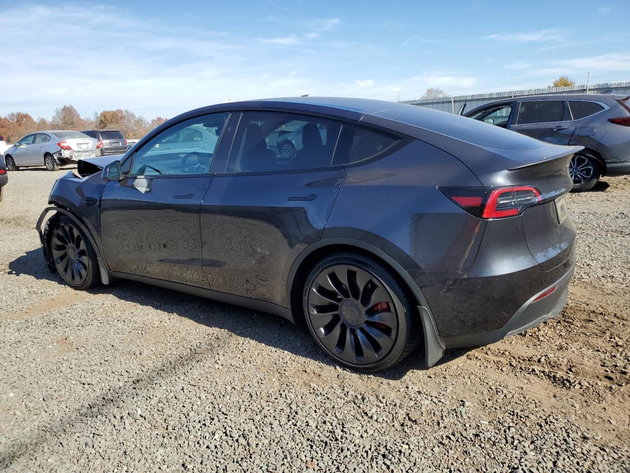 2024 TESLA MODEL Y  VIN:7SAYGDEF3RF021722