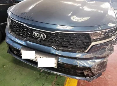 2021 Kia Sorento KNARG81BGMA022731 VIN:KNARG81BGMA022731
