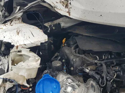 2017 Hyundai Santa FE KMHSW81UDJU818201 VIN:KMHSW81UDJU818201