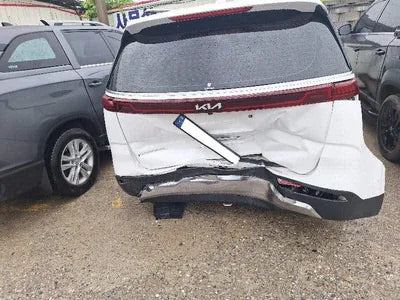 2023 Kia Carnival KNANE813BPS334022 VIN:KNANE813BPS334022