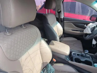 2019 Hyundai Santa FE KMHS381ADLU216986 VIN:KMHS381ADLU216986