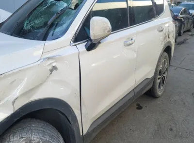 2019 Hyundai Santa FE KMHS281BBKU082980 VIN:KMHS281BBKU082980