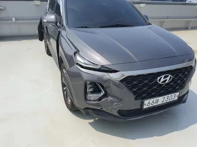 2019 Hyundai Santa FE KMHS381BBKU020928 VIN:KMHS381BBKU020928