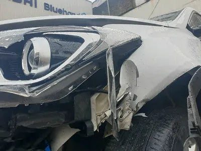 2017 Hyundai Santa FE KMHSW81UBHU757040 VIN:KMHSW81UBHU757040