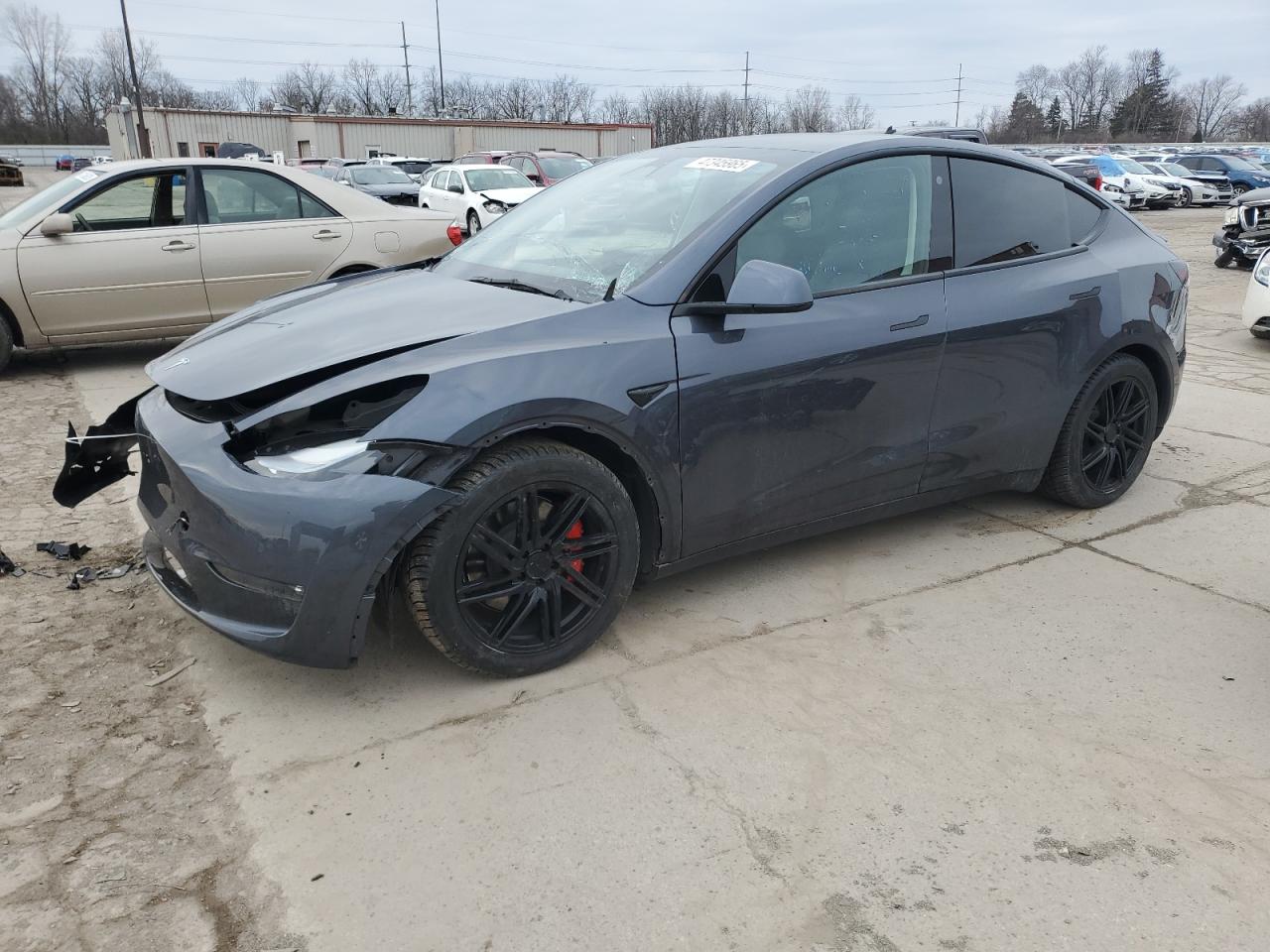 2022 TESLA MODEL Y  VIN:7SAYGDEF8NF532322
