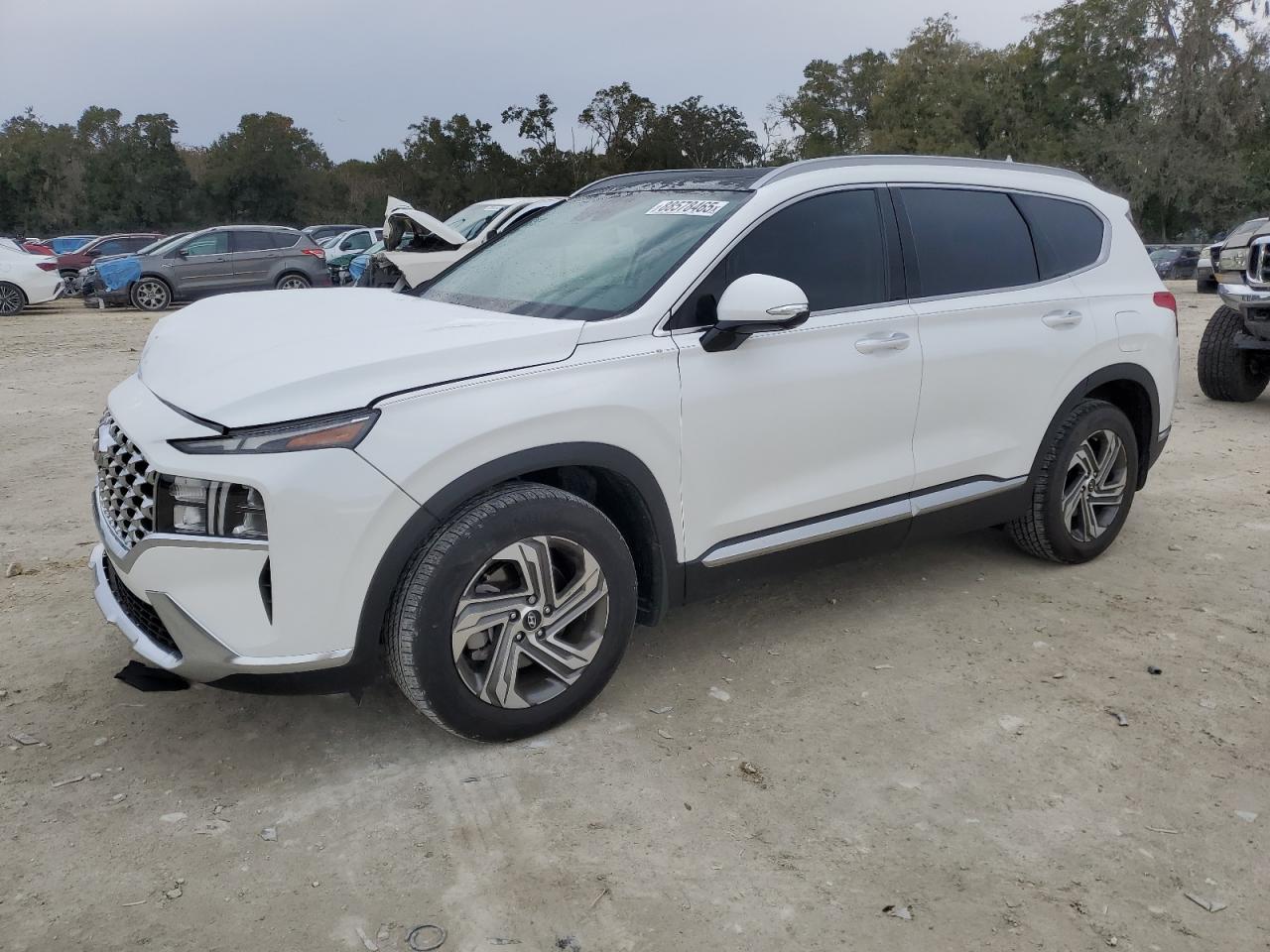 2023 HYUNDAI SANTA FE SEL PREMIUM VIN:5NMS34AJ1PH548775