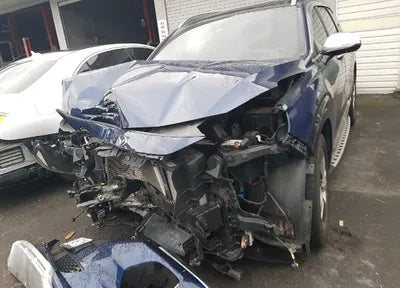 2019 Hyundai Santa FE KMHS581BBKU079646 VIN:KMHS581BBKU079646