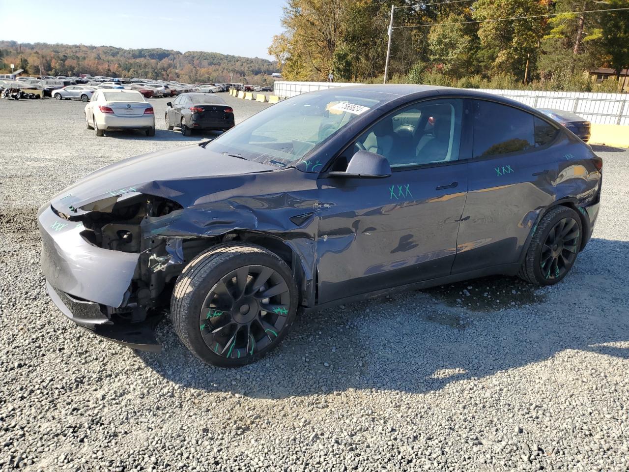 2023 TESLA MODEL Y  VIN:7SAYGDEE8PF756927