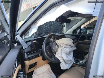 2021 Kia Carnival KNANE813BMS094800 VIN:KNANE813BMS094800