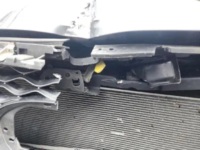 2019 Infiniti QX50 VIN: