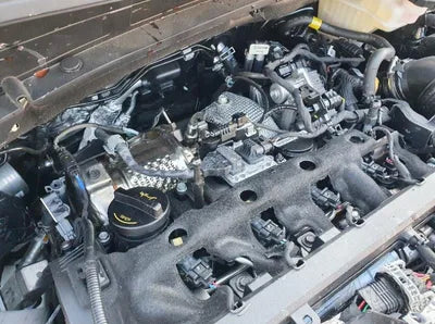 2022 Kia Sportage KNAPX81CBNK011814 VIN:KNAPX81CBNK011814