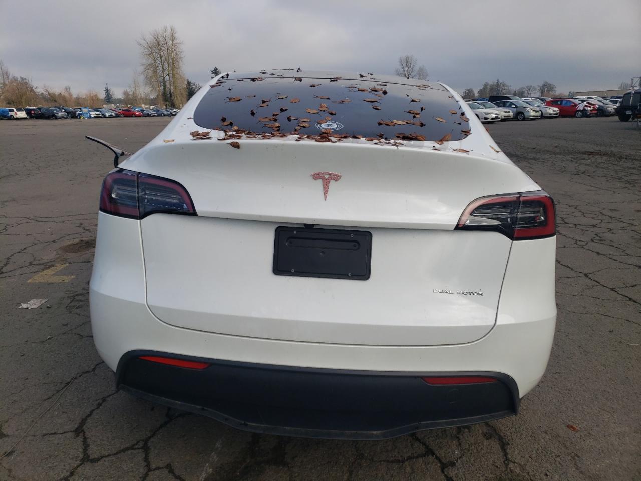 2024 TESLA MODEL Y  VIN:7SAYGAEE7RF077443