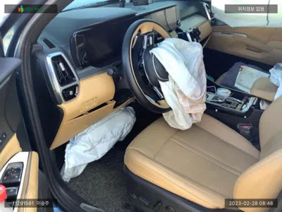 2021 Kia Sorento KNARK81GBNA061662 VIN:KNARK81GBNA061662