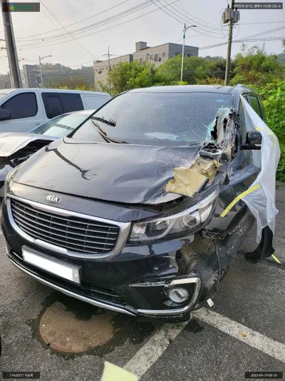 2015 Kia Carnival KNAMB81ABGS160840 VIN:KNAMB81ABGS160840