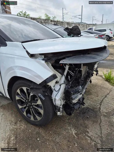 2021 Kia Carnival KNANC81BBNS158916 VIN:KNANC81BBNS158916