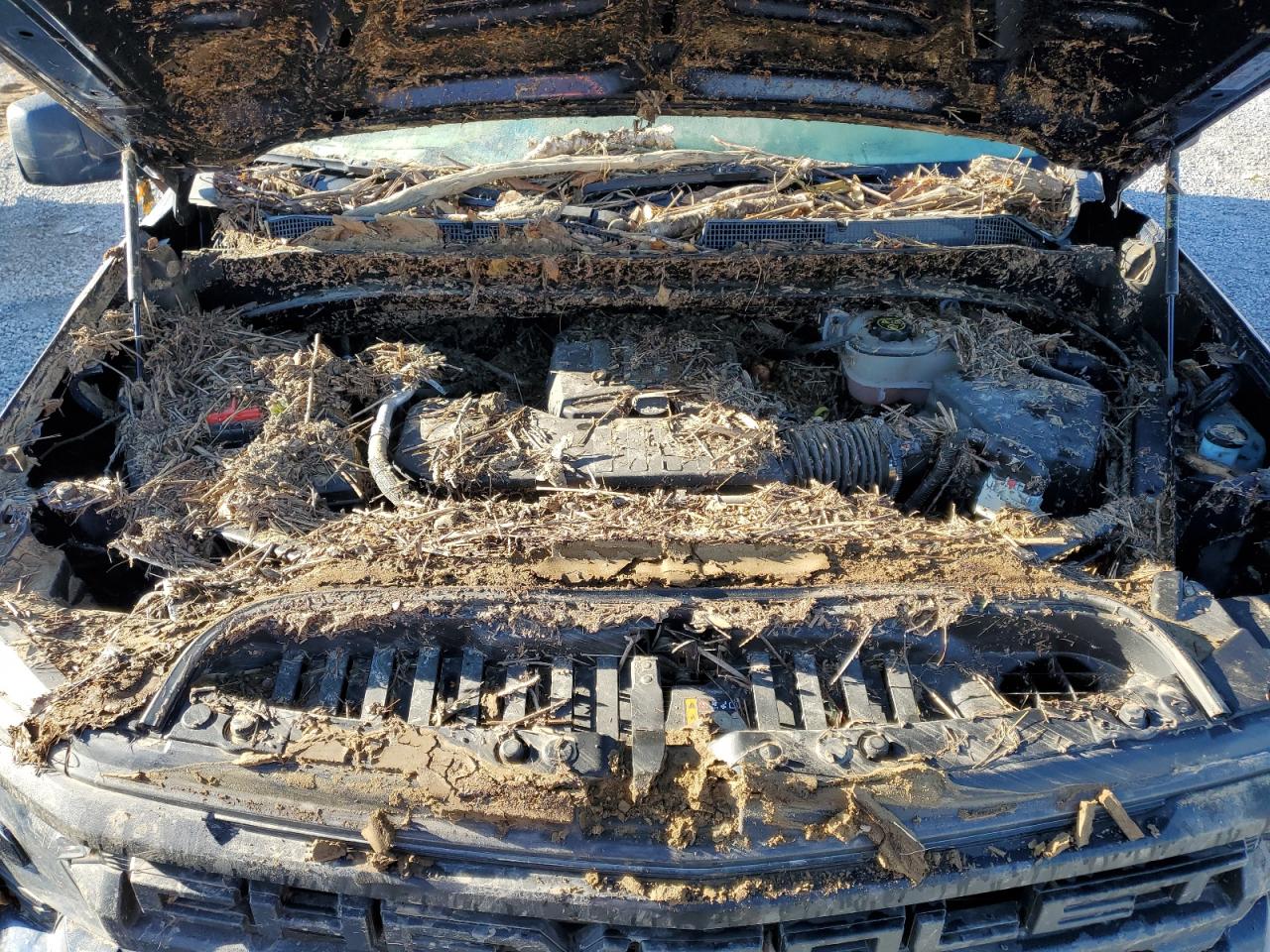 2022 CHEVROLET SILVERADO K1500 VIN:1GCRDAEK5NZ641885