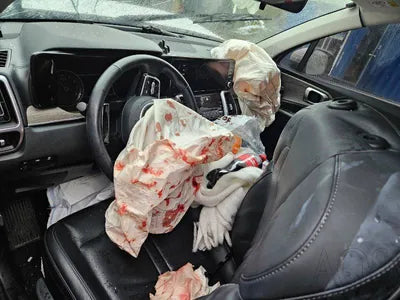 2022 Kia Sorento KNARF81FGNA151478 VIN:KNARF81FGNA151478
