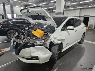 2019 Nissan Leaf VIN: