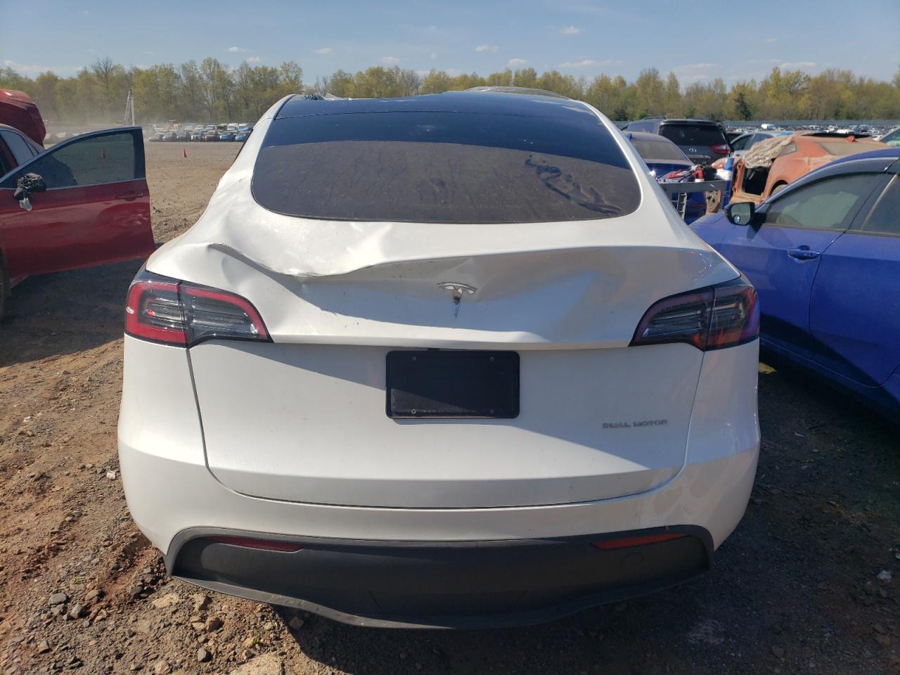 2023 TESLA MODEL Y  VIN:7SAYGDEE5PA064217