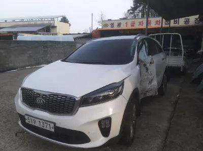 2019 Kia Sorento KNAPH81BDKA479311 VIN:KNAPH81BDKA479311