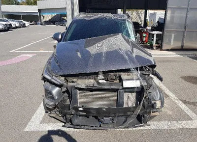 2019 Hyundai Santa FE KMHS381BDKU173046 VIN:KMHS381BDKU173046