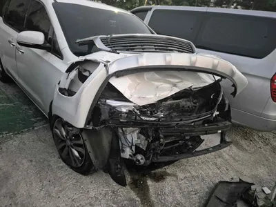 2015 Kia Carnival KNAME81ABGS140772 VIN:KNAME81ABGS140772