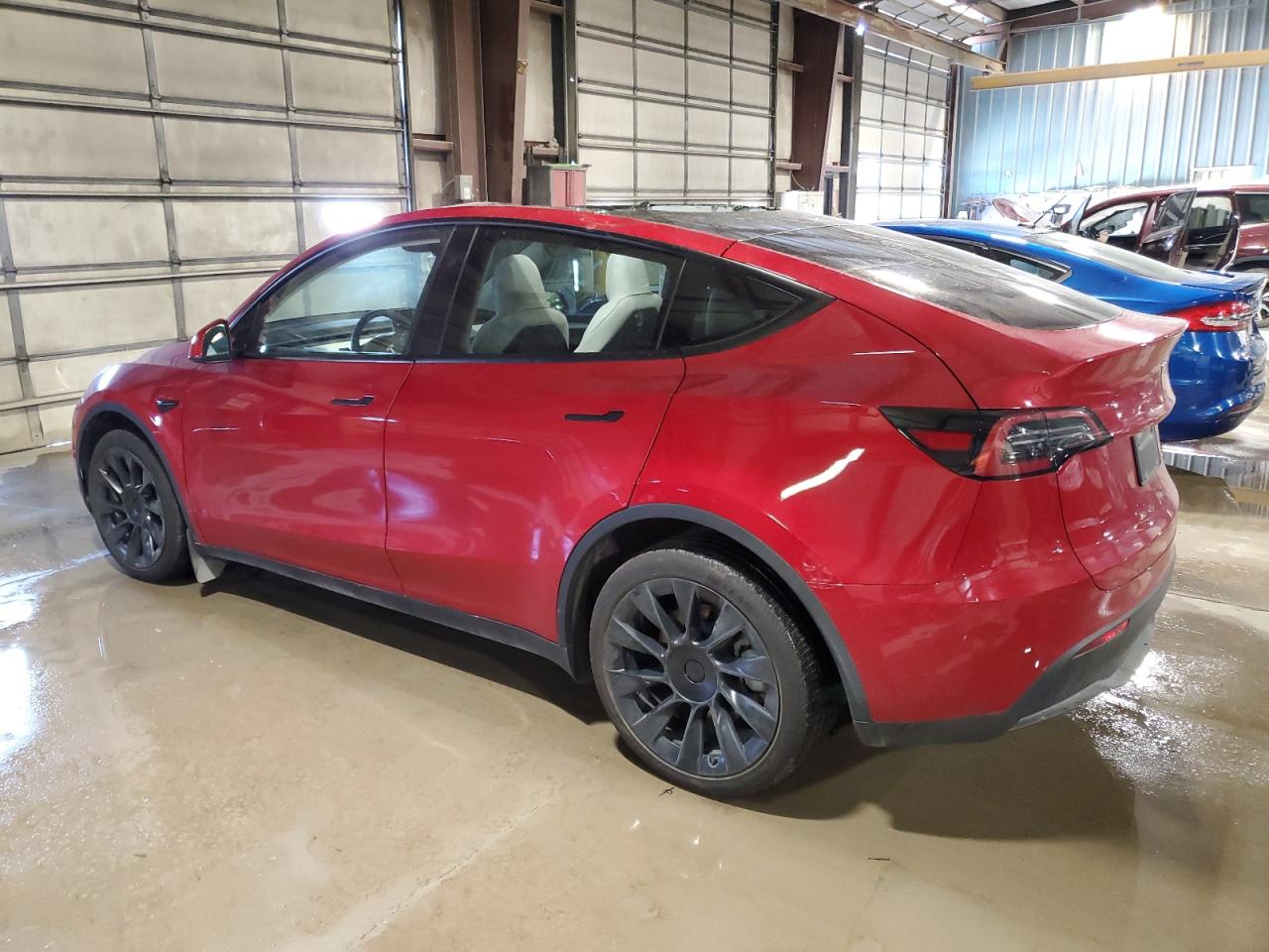 2023 TESLA MODEL Y  VIN:7SAYGDEE1PF877850