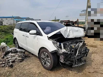 2019 Kia Carnival KNAMB81ABKS545085 VIN:KNAMB81ABKS545085