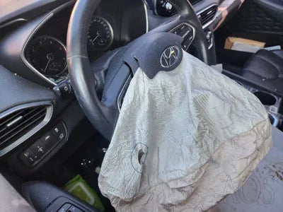 2019 Hyundai Santa FE KMHS281BBKU163858 VIN:KMHS281BBKU163858