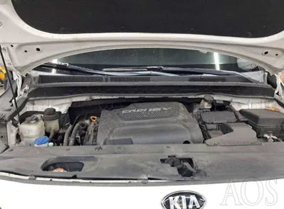 2016 Kia Carnival KNAMC81ABGS162599 VIN:KNAMC81ABGS162599