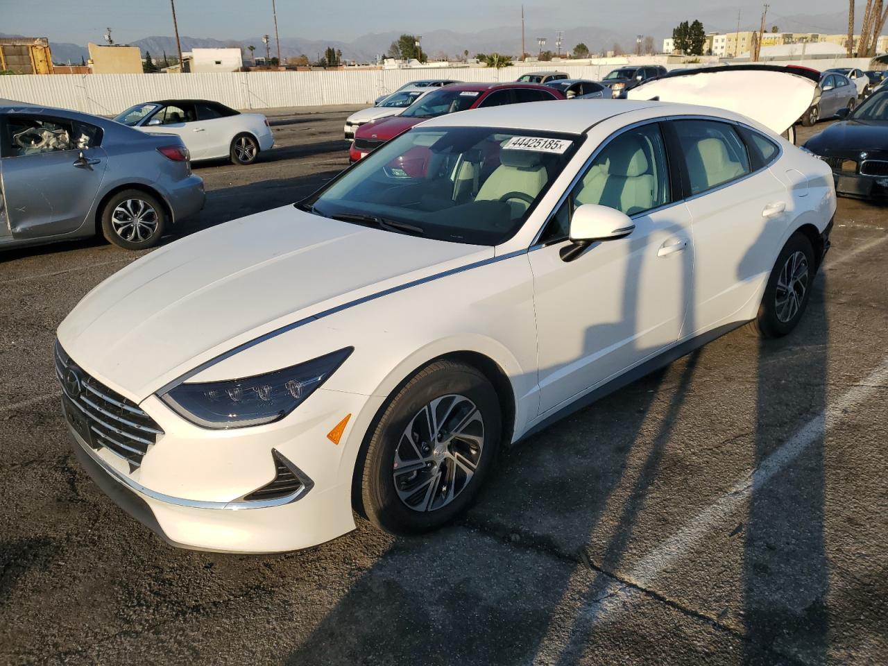 2023 HYUNDAI SONATA HYBRID VIN:KMHL24JJ7PA081813