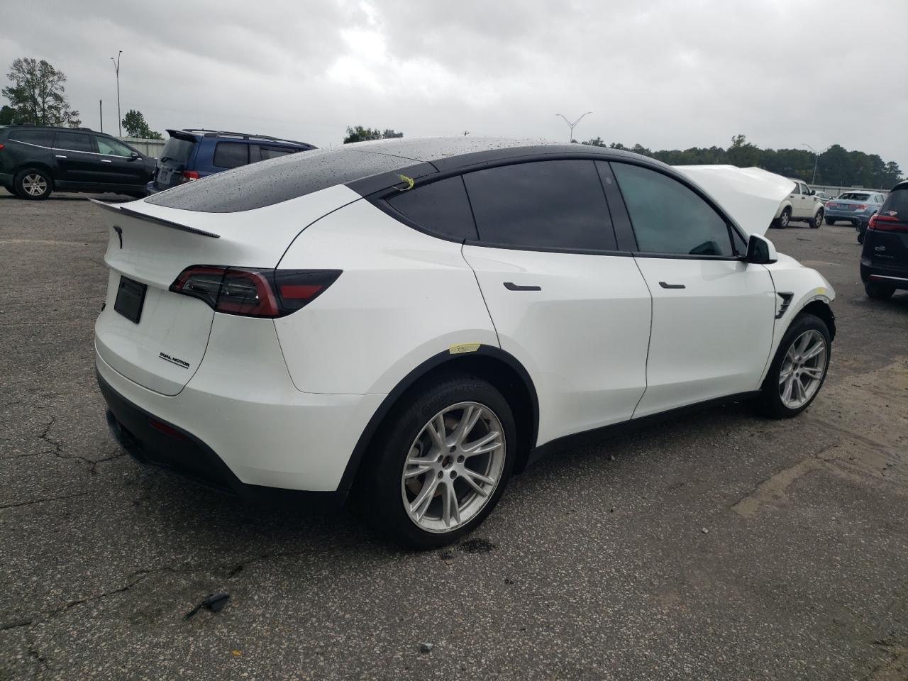 2023 TESLA MODEL Y  VIN:7SAYGDEE6PF667745